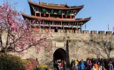 去旅游作文通用8篇