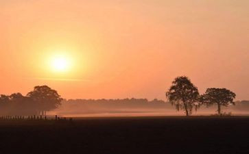 秋季运动会满分作文8篇