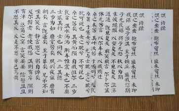 氓的优秀教案模板5篇