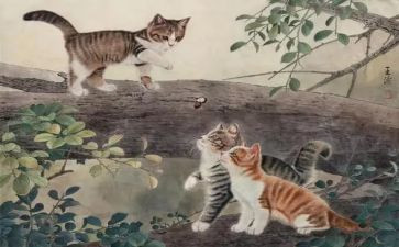 我家的猫作文模板6篇