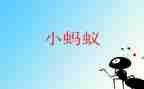 我是一只小蚂蚁作文500字6篇