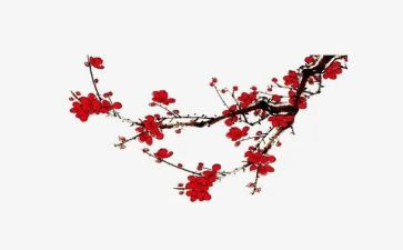 腊梅花教学反思6篇
