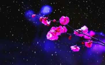 幼儿园梅花画教案8篇