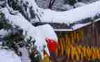 冰雪冬奥会作文5篇