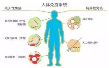医院免疫规划工作计划7篇