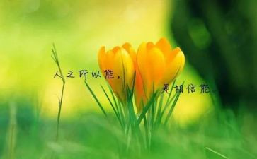 名人演讲稿精选5篇
