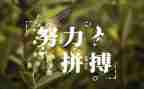 家乡名人作文8篇