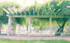 小学生感恩母校的演讲稿7篇