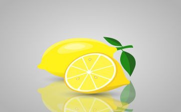 柠檬碟读后感6篇