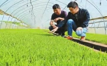 基层农技人员培训总结8篇