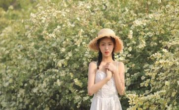 女生社到工作计划7篇