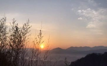 盼读后感作文500字模板5篇