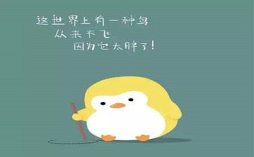 胖老师事迹优秀8篇