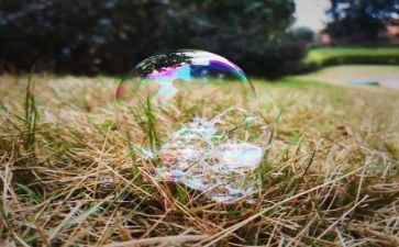 泡泡龙的作文6篇