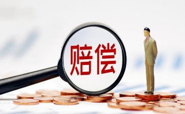赔偿申请书6篇