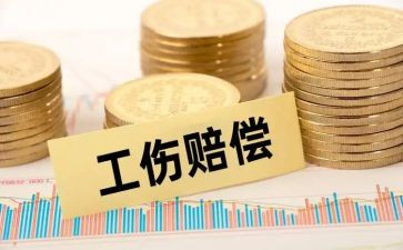 国家赔偿申请书优质5篇