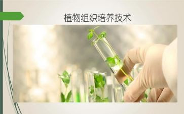 培养室工作总结最新5篇
