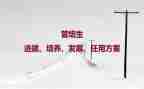 2023培养对象思想汇报8篇