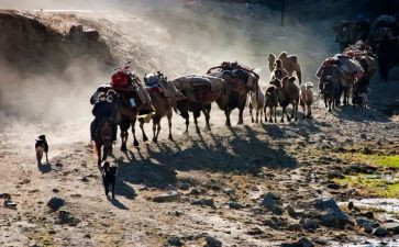 婚迁移户口申请书7篇