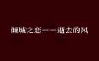 倾城之恋的读后感800字7篇