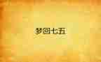 七五法工作总结8篇