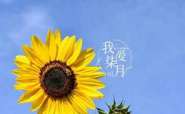 六七月份工作总结6篇
