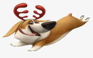 关于犬的演讲稿5篇