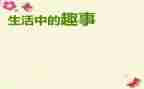 我暑假趣事作文推荐8篇