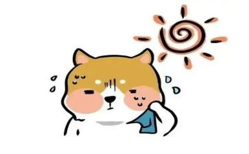 科学冷与热教案优秀8篇
