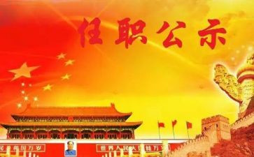 任职前的工作总结7篇