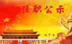任职前的工作总结7篇