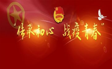 入团后个人总结8篇