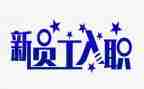 2024新入职工作总结推荐5篇