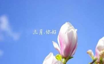 三月的学雷锋演讲稿5篇