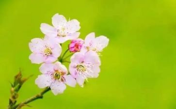 教师三月工作总结推荐7篇