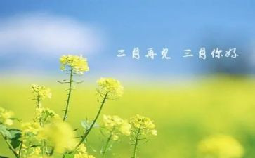 三月份的心得8篇