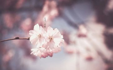 员工三月计划6篇