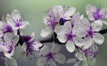 2024年三月份教师工作总结8篇