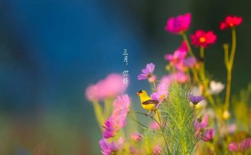 三月份的工作计划8篇