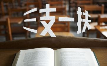 三支一扶年度考核总结8篇