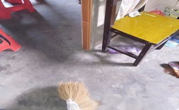 家庭打扫除的作文5篇