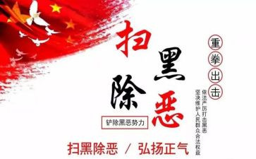 村扫黑除恶工作总结6篇