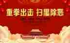 扫黑除恶年终总结报告6篇