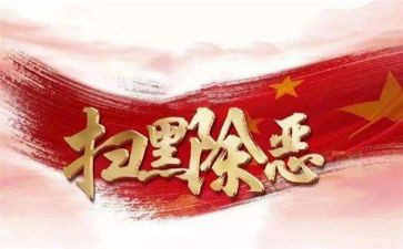 县扫黑办工作总结6篇