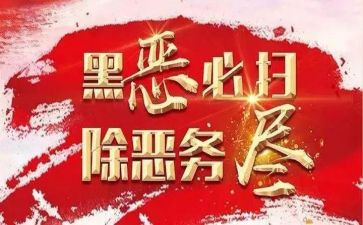 县扫黑办工作总结最新6篇