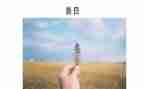 善的作文800字作文最新5篇