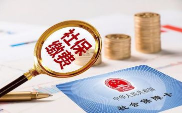 查社保工作总结精选5篇