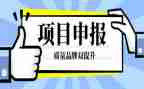 申报教师职称个人总结8篇
