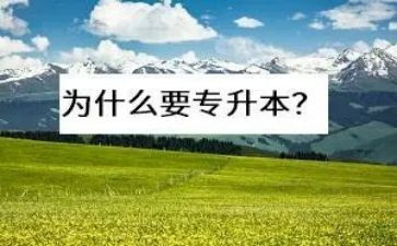 专升本鉴定表自我鉴定优秀7篇