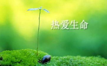 生命作文优秀7篇